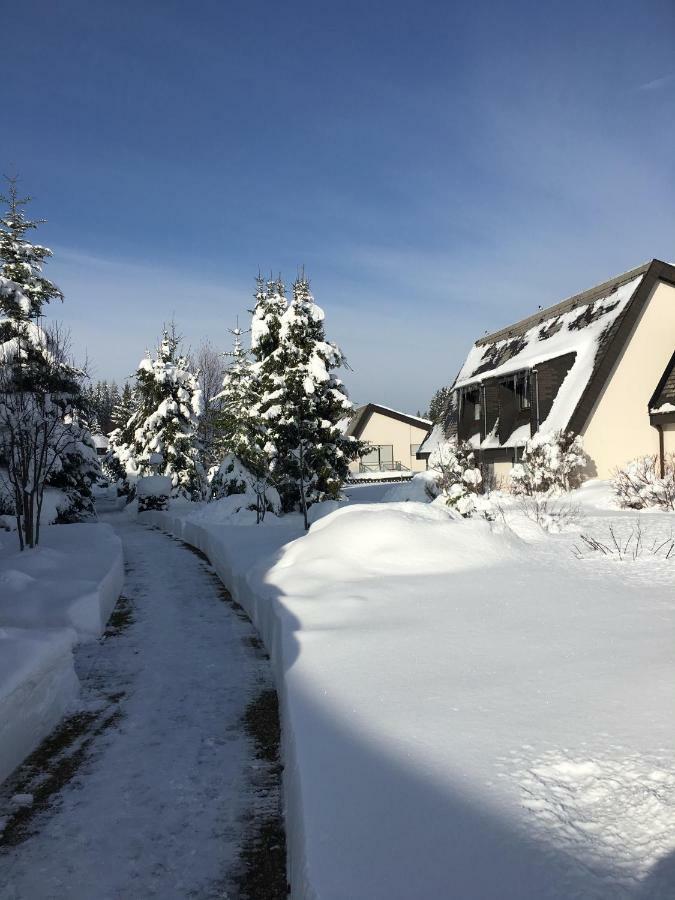 Schwarzwald-Apartment Schönwalde Exterior foto